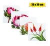 Plaque-wall canvas picture protea 30x30